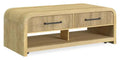 Lenore 48 Modern Coffee Table with Storage, Shelf and Casters